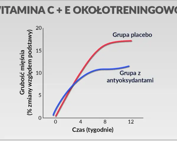Wykres pokazuje, że witamina C po treningu w połączeniu z antyoksydantami wpływa na przyrost masy mięśniowej.