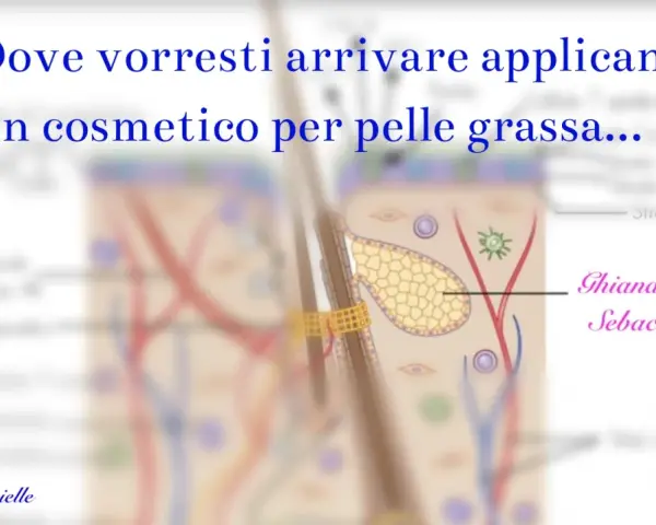 Illustrazione anatomica della pelle, con focus sulla ghiandola sebacea, per un efficace trattamento pelle grassa.