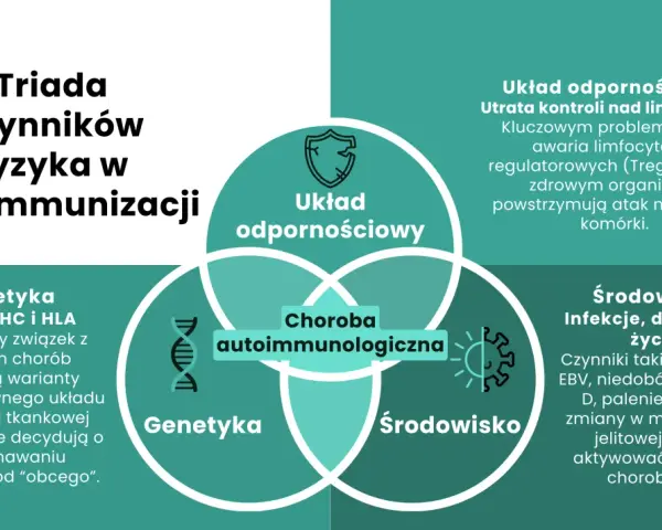 Diagram przedstawiający triady czynników ryzyka w autoimmunizacji: układ odpornościowy, genetyka i środowisko.