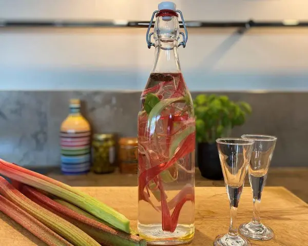 Rabarber snaps i en flaska med färska rabarberstjälkar. Två små glas står redo för att avnjutas.