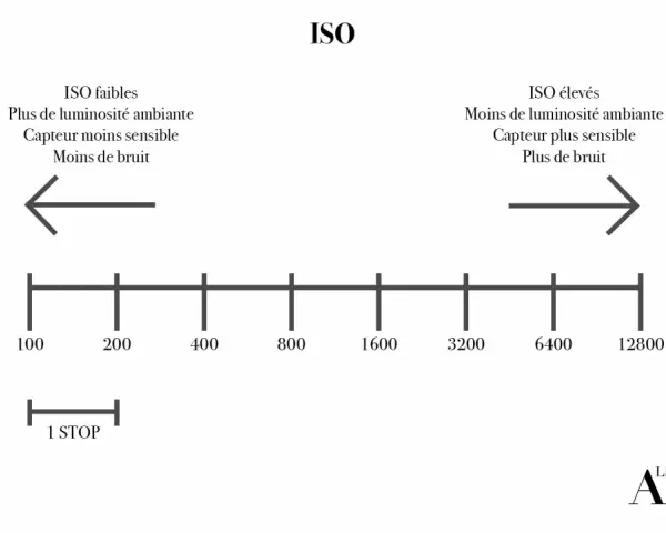 Schéma expliquant l'ISO : faibles ISO pour plus de lumière et moins de bruit, élevés ISO pour moins de lumière et plus de bruit.