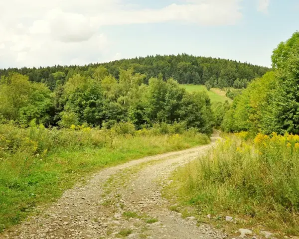 Kręta droga przez zielone wzgórza, w oddali las i skopiec szczyt.