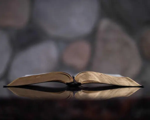 An open Bible reflects on a dark surface, symbolizing the scriptural basis for why Jehovah's Witnesses don't celebrate Christmas.