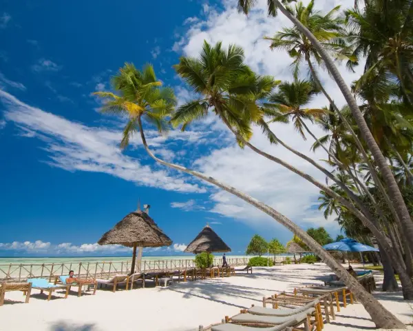 Rajska plaża z palmami i leżakami. Zastanawiasz się, ile się leci na Zanzibar? Tu odpoczniesz od zgiełku.