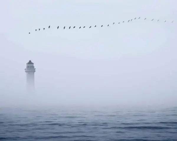 Ein Leuchtturm ragt aus dichtem Nebel, während eine Vogelschar über dem ruhigen Meerformationen zieht. Ein einsames Schiff im Nebel.