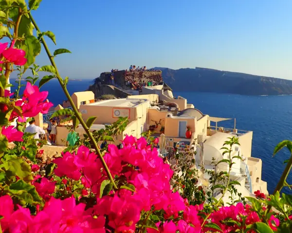 Vibrant pink bougainvillea frames a view of Santorini, Greece. People gather on ancient ruins overlooking the Aegean Sea, a perfect spot for sunset views.