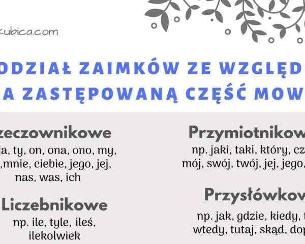 Podział zaimków ze względu na zastępowaną część mowy: rzeczownikowe, liczebnikowe, przymiotnikowe, przysłówkowe.