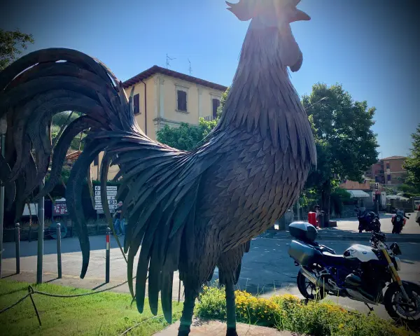 Gallo di metallo imponente, pronto per un giro in moto tra le Crete Senesi.