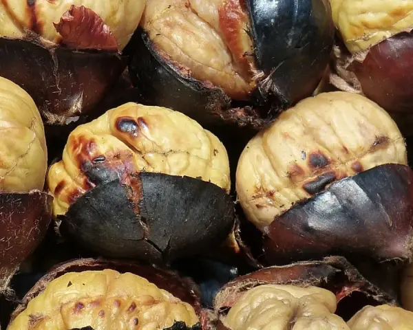 Castañas asadas en freidora de aire, con la piel oscura y la pulpa dorada y tierna. ¡Un placer otoñal!