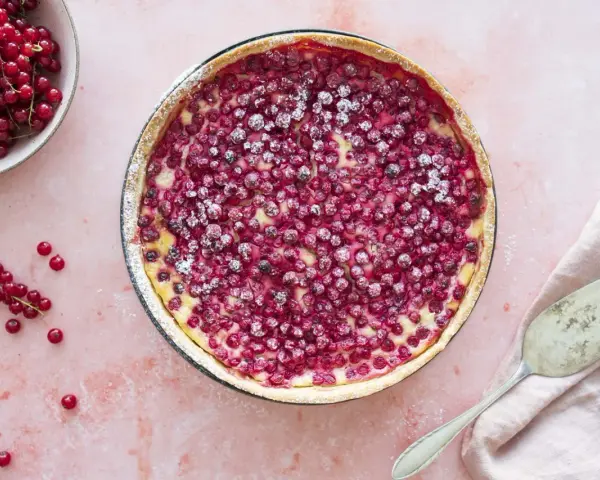 Saftiger Johannisbeerkuchen mit Schmand in einer Springform, bestäubt mit Puderzucker. Daneben eine Schale voller roter Johannisbeeren.