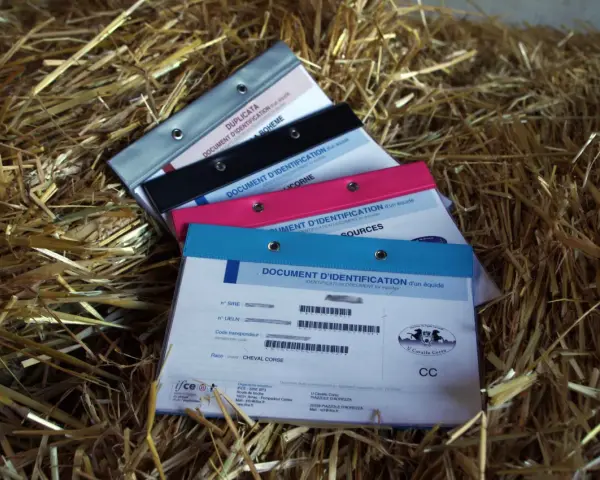 Documents d'identification pour chevaux, avec des informations SIRE et UELN. Ces documents sont essentiels pour le suivi et la gestion des équidés.
