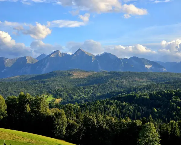 Widok na Tatry z przełęczy nad Łapszanką. Majestatyczne szczyty górskie, gęste lasy i błękitne niebo z chmurami.