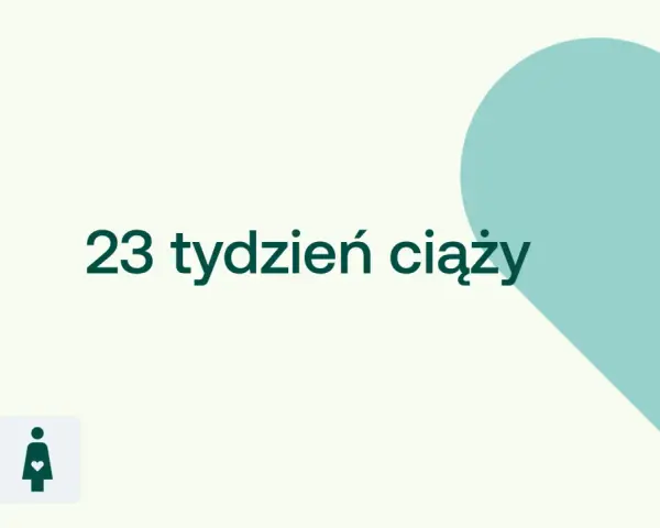 23 tydzień ciąży. D+ ikona kobiety w ciąży na jasnym tle z turkusowym sercem.