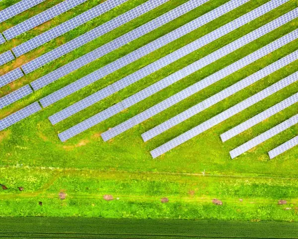 Rozległa farma fotowoltaiczna na zielonym polu, panele ułożone w rzędy pod kątem, łapiące słońce.