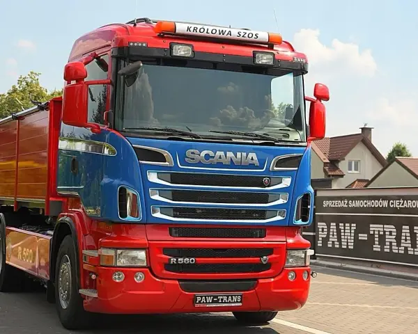 Czerwono-niebieska wywrotka do zboża Scania R560 z napisem "Królowa Szos" gotowa do pracy.