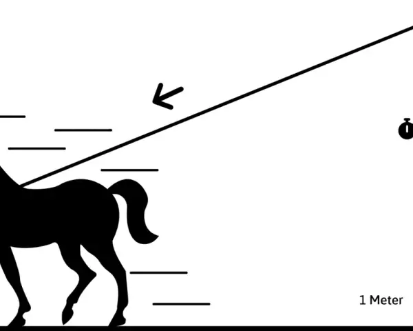 Ein Pferd zieht 75 kg über 1 Meter in 1 Sekunde. Das ist die Definition von einem PS.