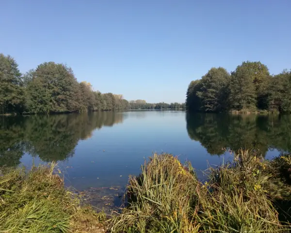 Ein ruhiger Baarer Weiher im Herbst, umgeben von Bäumen, deren Spiegelung sich im klaren Wasser bricht.