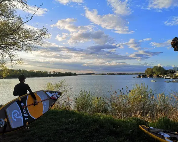 Ein junger Mann mit SUP-Board am Ufer des Alperstedter Sees. Der Himmel ist blau mit weißen Wolken, die Sonne scheint.
