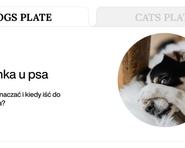 Chory piesek z zasłoniętymi oczami. Artykuł o biegunce i wymiotach u psa.