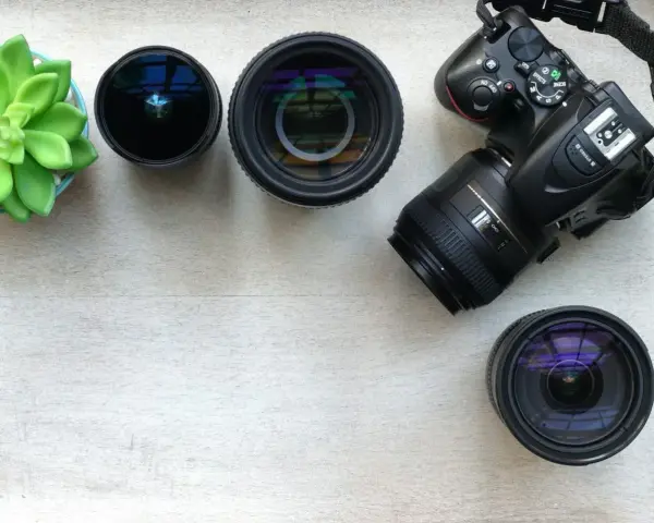 Aparat fotograficzny z obiektywami, w tym jeden zmiennoogniskowy to zoom, i zielona roślina na drewnianym tle.