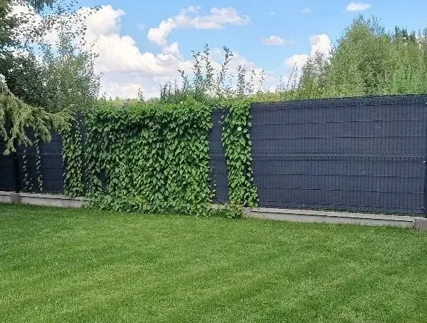 Skuteczne sposoby na zasłonięcie ogrodzenia panelowego w ogrodzie