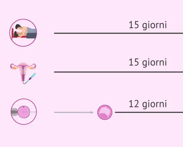 Quando fare il test di gravidanza: dopo 15 giorni da rapporti o inseminazione, 12 giorni dopo trasferimento blastocisti.