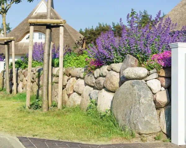 Natürliche Steingarten Ideen: Eine Steinmauer mit Lavendel und rosa Blüten, flankiert von jungen Bäumen und einem Reetdachhaus.