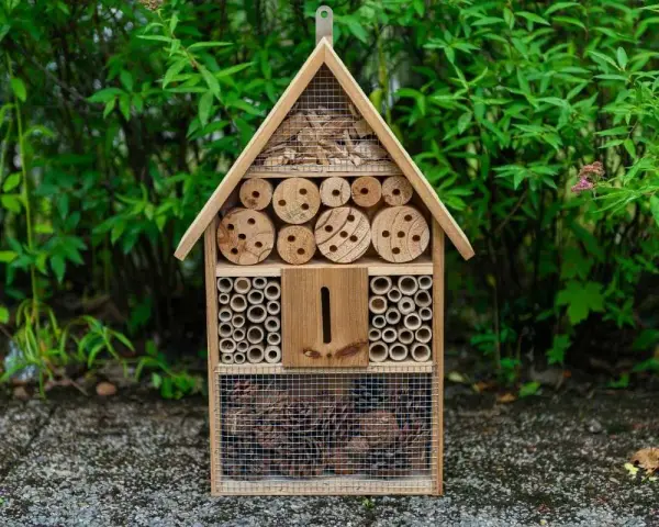 Casetta per insetti fai da te, un rifugio accogliente con legni forati, bambù e pigne, pronto ad ospitare piccoli amici del giardino.