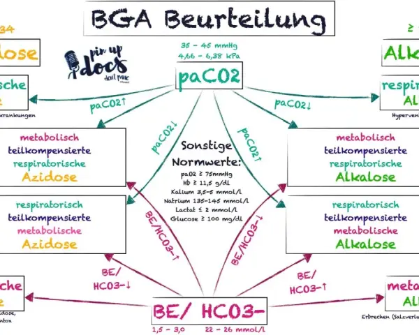 Schema zur BGA Interpretation: Azidose/Alkalose, paCO2 & BE/HCO3- Werte und deren Ursachen.