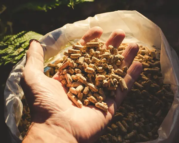 Mano che tiene un pugno di pellet, combustibile ecologico.