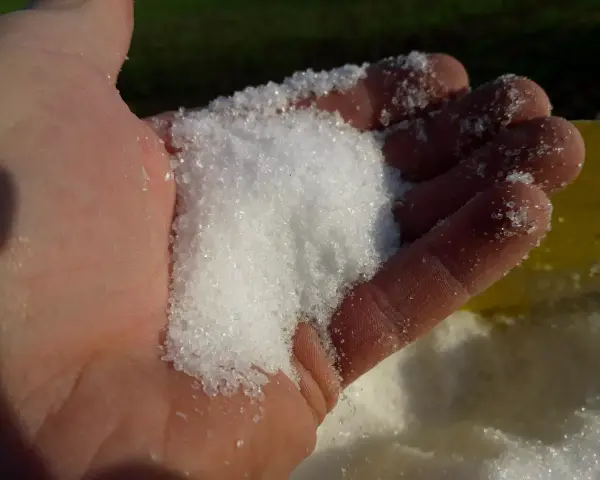 Siarczan magnezu zastosowanie w ogrodnictwie. Biały, krystaliczny proszek w dłoni, gotowy do użycia jako nawóz.
