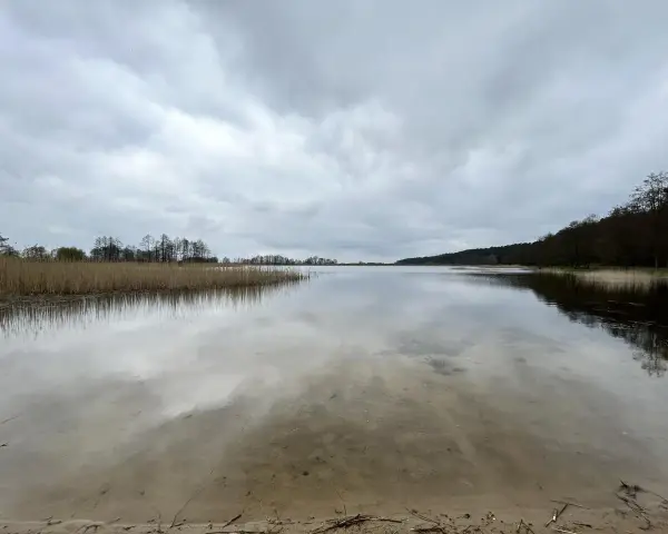 Spokojne jezioro Wójtowskie pod pochmurnym niebem. Woda odbija chmury i zarośla trzcin.