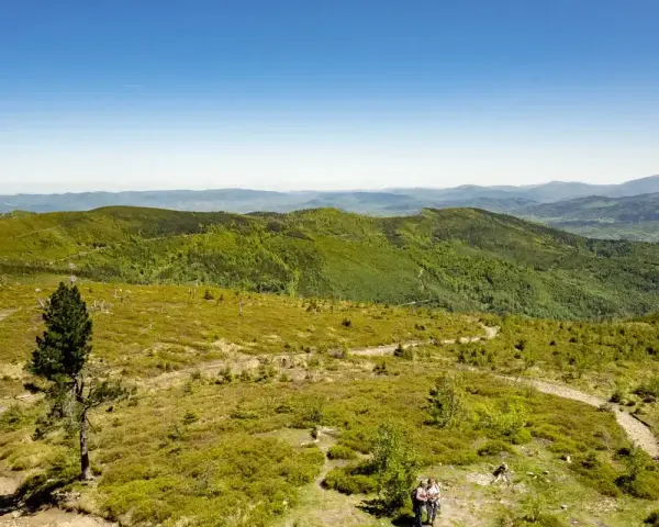 Malowniczy szlak na Baranią Górę, wijący się przez zielone wzgórza Beskidu Śląskiego. Dwoje turystów podziwia rozległą panoramę.