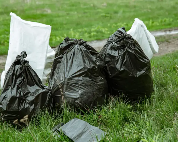 Workmen's bags of garden waste sit on grass. Czy można wywieźć gałęzie do lasu? To pytanie zadaje sobie wielu.