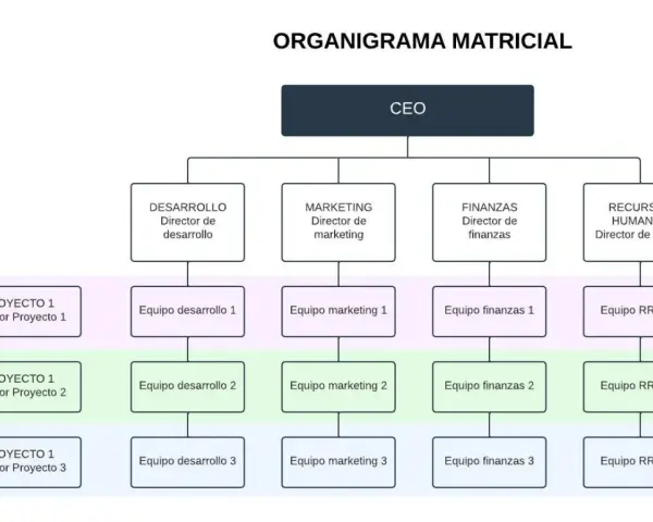 Organigrama matricial con CEO, directores de área (Desarrollo, Marketing, Finanzas, RRHH) y equipos de proyecto. Ejemplos de organigramas.