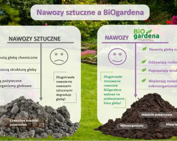 Jaki nawóz sztuczny pod warzywa? Sprawdź, jak uniknąć błędów w nawożeniu