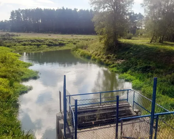 Spokojna rzeka otoczona zielenią, z widocznym pomostem i ogrodzeniem. Piękne zdjecia w wodzie odbijające niebo.