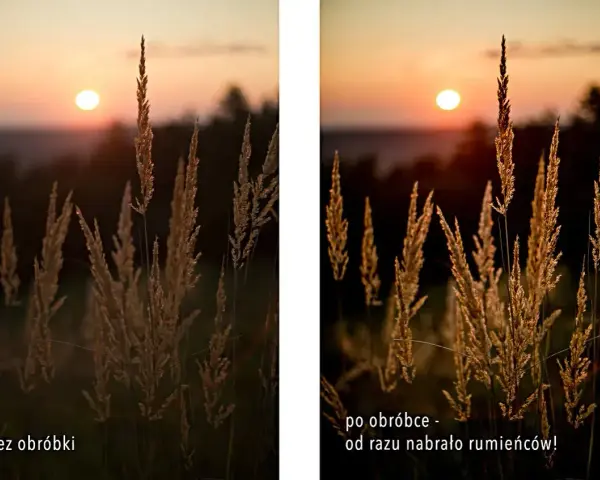 Złota godzina w fotografii. Trawa w słońcu, po obróbce nabrała ciepłych, złotych barw.