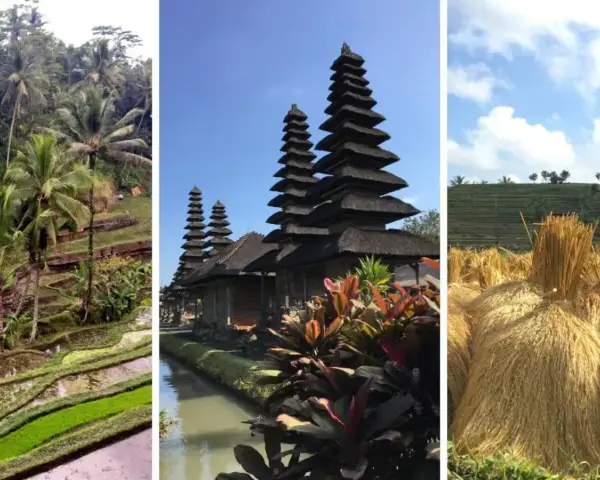 Najpiękniejsze miejsca na Bali: Odkryj raj i zaplanuj podróż!
