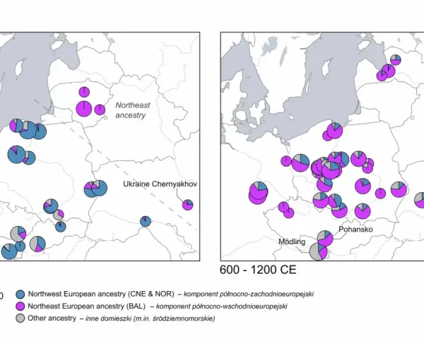 Mapy pokazujące kontaminację genetyczną w Europie Środkowej i Wschodniej między 200-600 a 600-1200 r. n.e.