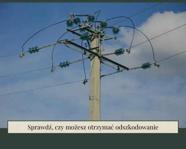 Słup energetyczny z przewodami i izolatorami, jeden z wielu rodzajów słupów energetycznych.