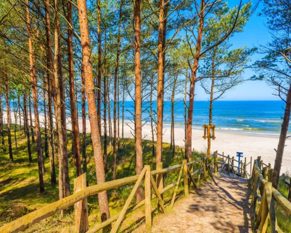 Ścieżka przez sosnowy las prowadzi do jednej z najpiękniejszych plaż w Polsce. Biały piasek, turkusowe morze i błękitne niebo tworzą rajski widok.