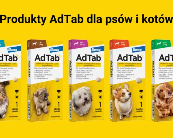 Jak działają krople na kleszcze dla psa? Poznaj ich skuteczność i bezpieczeństwo