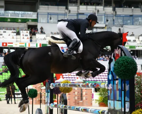 Un cheval noir CSO saute un obstacle coloré, monté par un cavalier en tenue d'équitation.