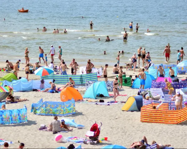 Wczasy pod gruszą na zatłoczonej plaży. Ludzie kąpią się w morzu, opalają na piasku i odpoczywają pod kolorowymi parawanami.