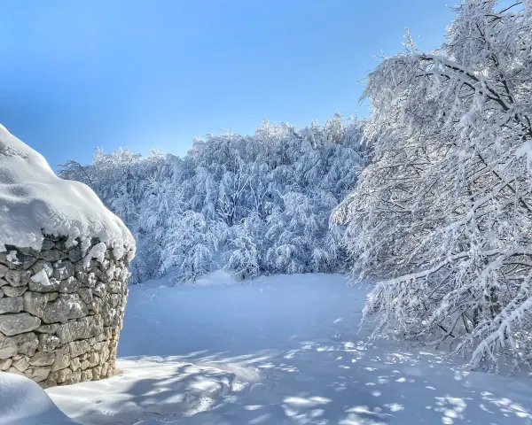 Muro di pietra innevato vicino a un bosco incantato, un vero passo lanciano di bellezza invernale sotto un cielo azzurro.