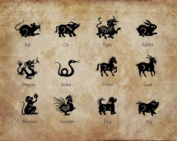 Chiński znak zodiaku 2007: Szczur, Wół, Tygrys, Królik, Smok, Wąż, Koń, Koza, Małpa, Kogut, Pies, Świnia.
