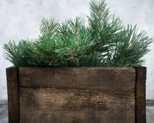 Jak stworzyć piękny stojak na choinkę DIY bez zbędnych kosztów