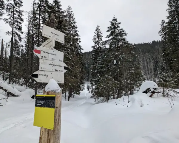 Znak szlaku turystycznego w zimowej scenerii. Wskazuje drogę do Toporowej Cyrhli, Hali Gąsienicowej i Brzezin. Szlak w dolinie suchej wody czeka na turystów.