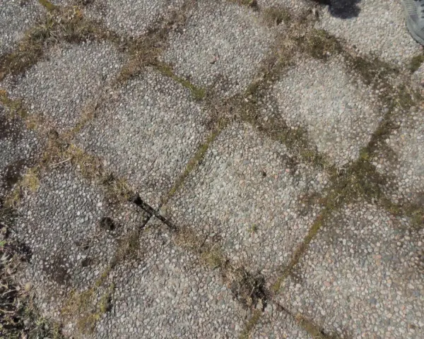 Grå stenplattor med mossa och ogräs mellan fogarna. Dags att ta bort mossa på stenplattor för en renare uteplats.